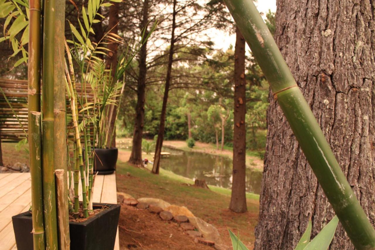 Hotel Kerikeri Glamping Exterior foto