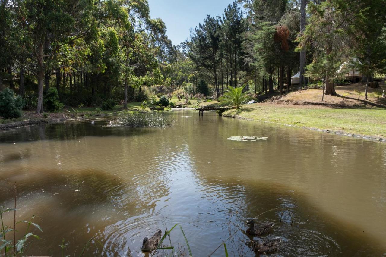 Hotel Kerikeri Glamping Exterior foto