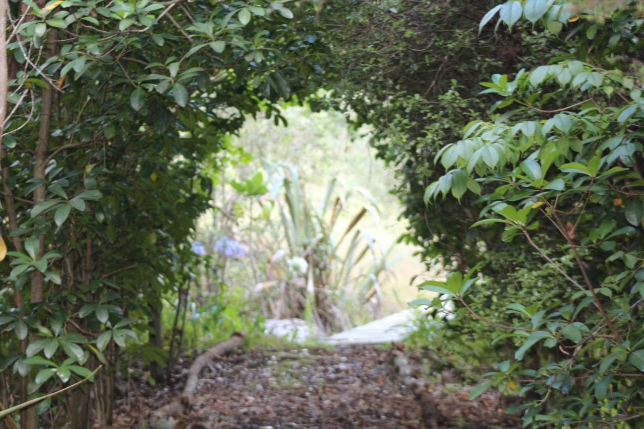 Hotel Kerikeri Glamping Exterior foto