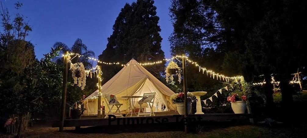 Hotel Kerikeri Glamping Exterior foto
